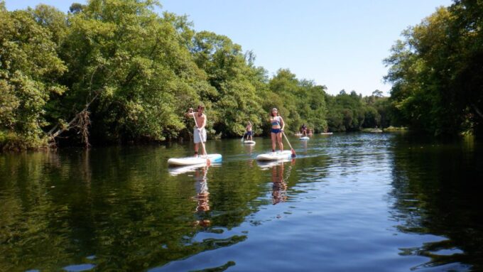 Viana Do Castelo: Vez River SUP With Transfer Options - Frequently Asked Questions