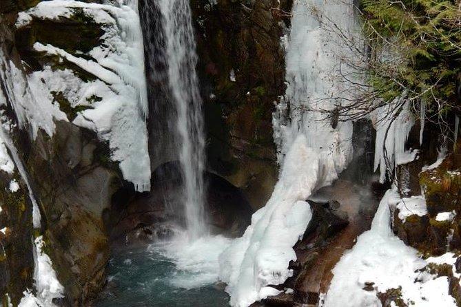 Viator Exclusive Day-Tour From Seattle to Mt. Rainier - Tour Highlights