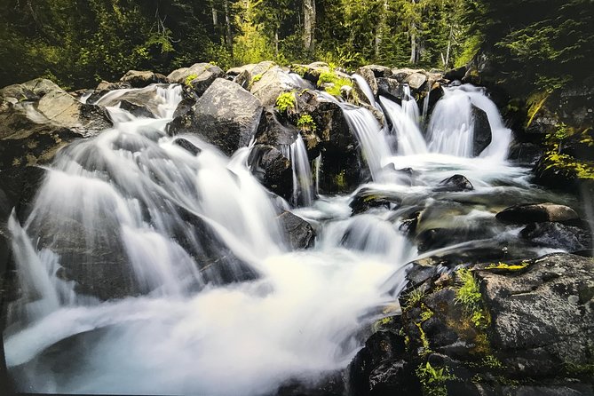 Viator Exclusive Day-Tour From Seattle to Mt. Rainier - Exploring Mt. Rainier