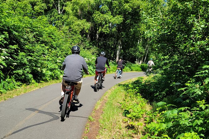 Viator Exclusive: Go Ebike Alaska on Tony Knowles Trail - Suited for All Fitness Levels