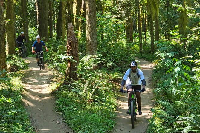 Viator Exclusive - Half Day Mountain Bike Tour From Seattle - Tour Overview and Inclusions