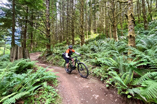 Viator Exclusive - Half Day Mountain Bike Tour From Seattle - Booking Details
