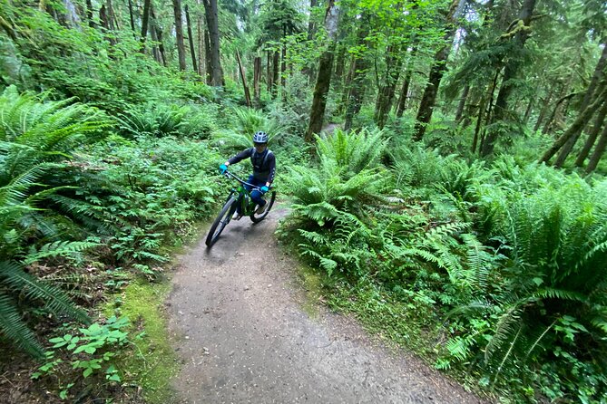 Viator Exclusive - Half Day Mountain Bike Tour From Seattle - Exceptional Mountain Biking Experience