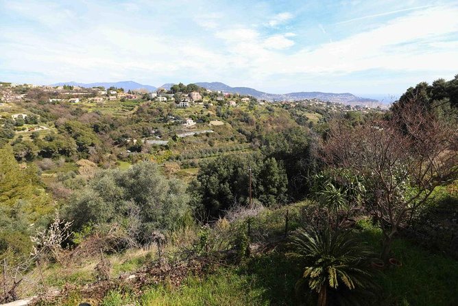 Viator Exclusive: Local Cooking Class & Dinner With View of Nice - Additional Experience Details