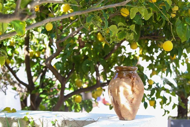 Viator Exclusive: Local Cooking Class & Dinner With View of Nice - Cancellation Policy Information