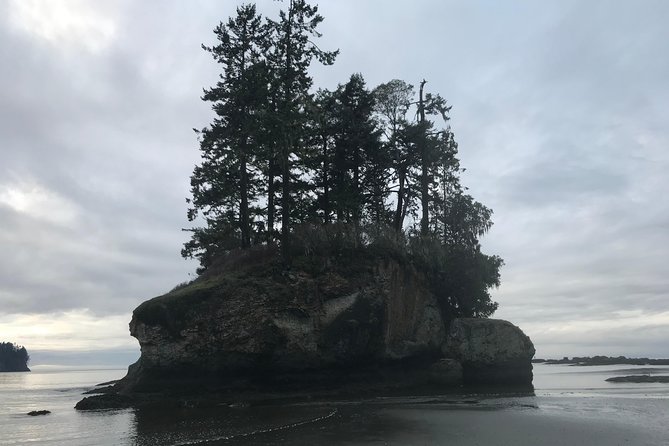 Viator Exclusive Tour- Olympic National Park Tour From Seattle - Scenic Beaches Adventure
