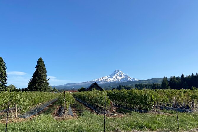 Viator Exclusive: Wyeast Adventure Cycling in Portland - Exploring Wyeast Adventure