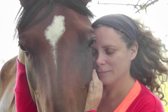 Vibrate Your Horse Heart - Healing With Horses - Key Points