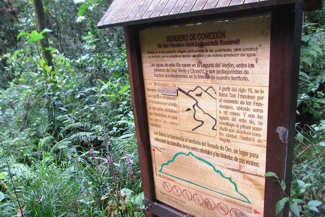 Vicacha Trail - San Francisco - Key Points