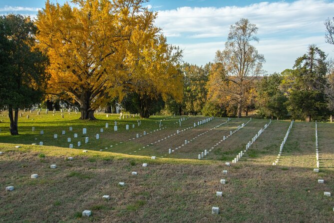 Vicksburg Battlefield Self-Guided Driving Tour - Accessibility and Tour Participation