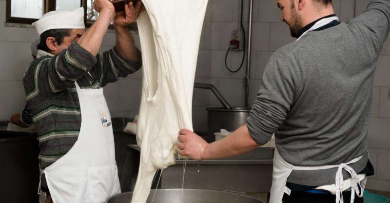Vico Equense: Mozzarella Experience in a Real Cheese Factory - Key Points