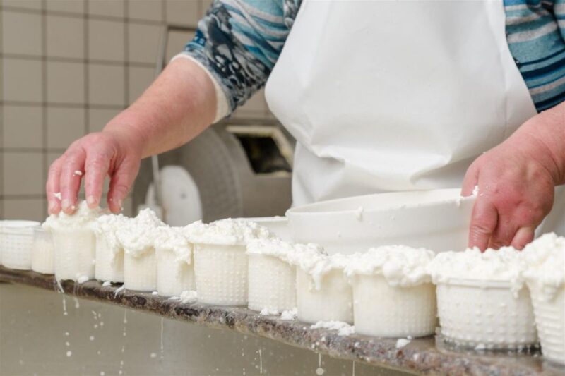 Vico Equense: Mozzarella Experience in a Real Cheese Factory - Guided Dairy Tour