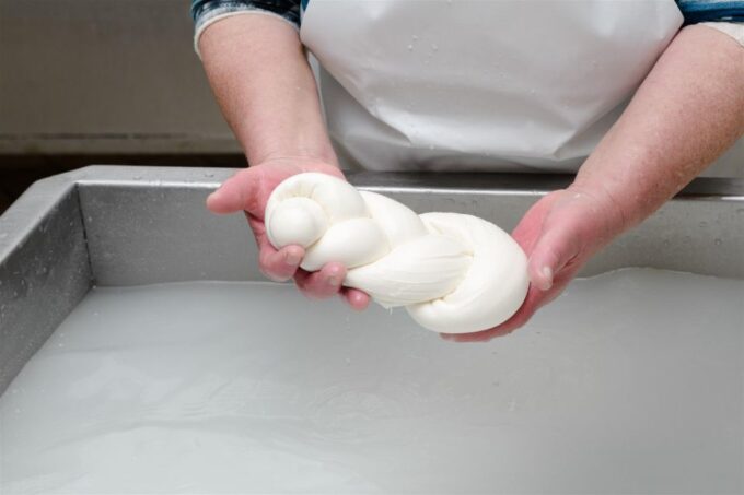 Vico Equense: Tour in the Dairy Mozzarella Experience - Directions to the Dairy