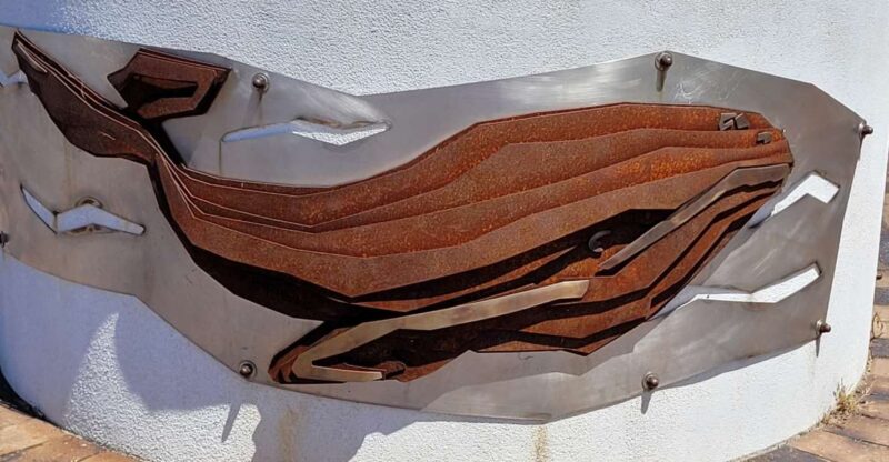 Victor Harbor: Stories of Shipwrecks & Settlers Walking Tour - Historical Insights
