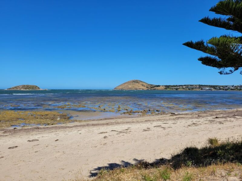 Victor Harbor: Stories of Shipwrecks & Settlers Walking Tour - Additional Requirements