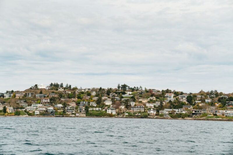 Victoria: 3-Hour Whale Watching Tour in a Zodiac Boat - Wildlife Sightings