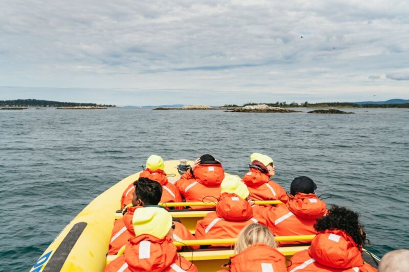 Victoria: 3-Hour Whale Watching Tour in a Zodiac Boat - Booking and Cancellation