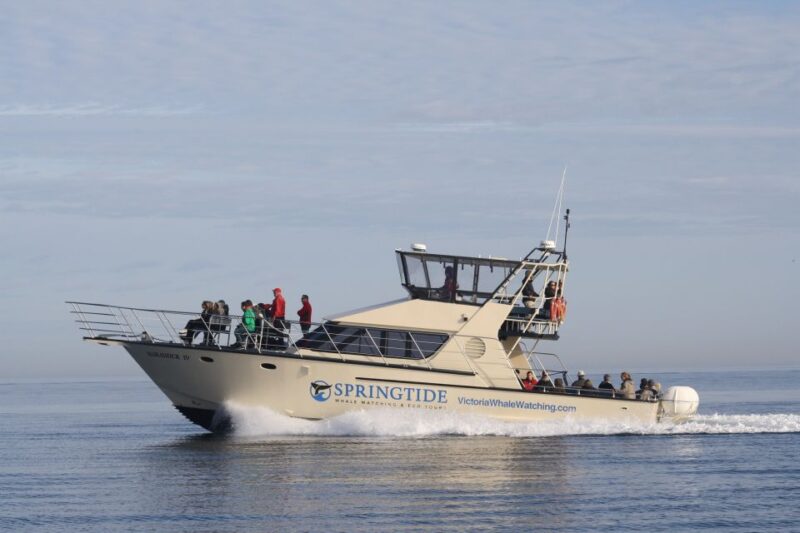 Victoria: 3-Hour Whale Watching Tour - Vessel and Amenities