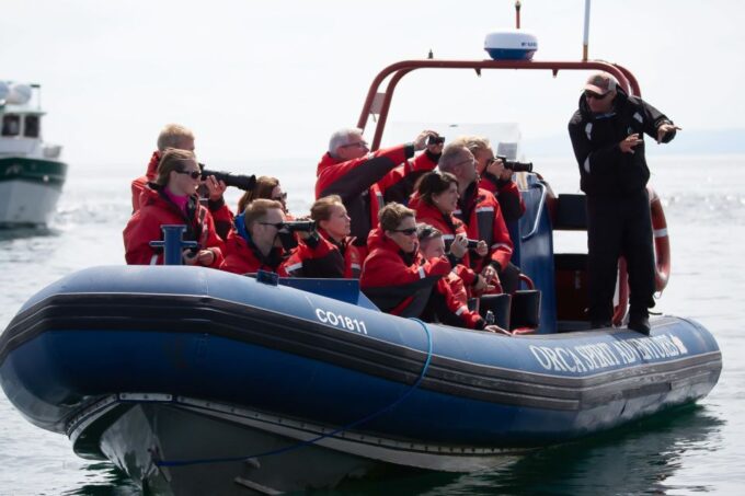 Victoria: 3-Hour Zodiac Whale-Watching Tour - Tour Duration and Pricing
