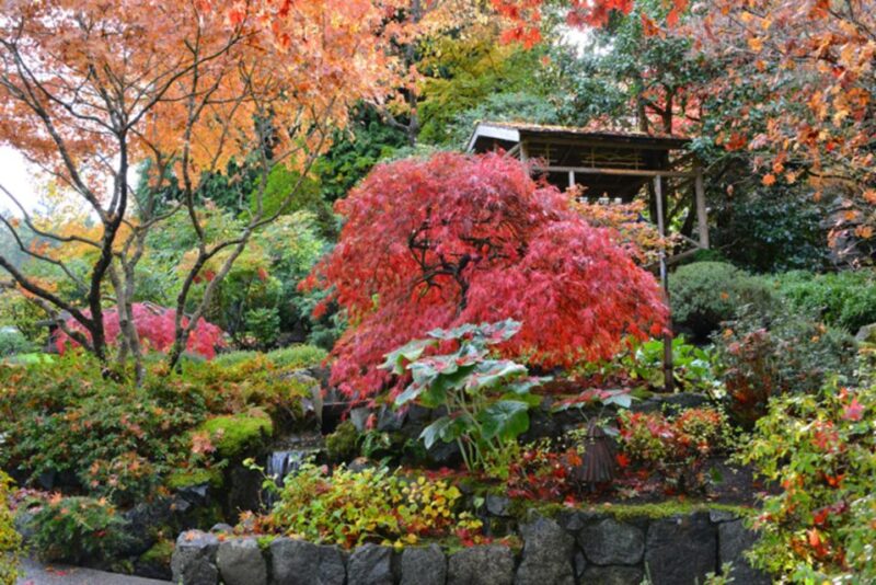 Victoria and Butchart Gardens Christmas Tour - Pickup and Drop-off Locations