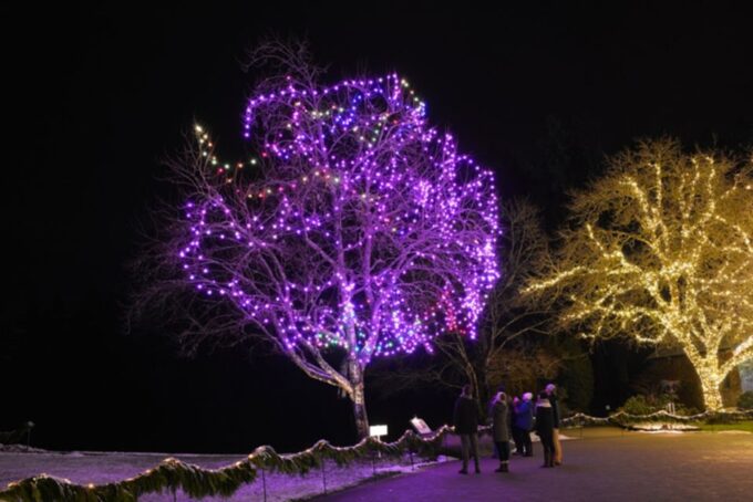 Victoria and Butchart Gardens Christmas Tour - Butchart Gardens Experience
