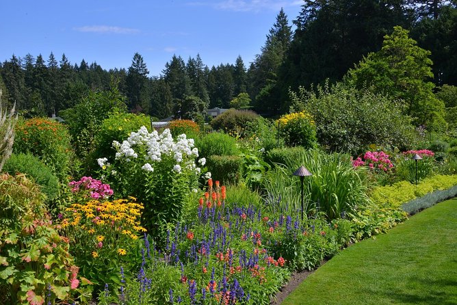 Victoria and Butchart Gardens Tour From Vancouver - Tour Reviews and Ratings