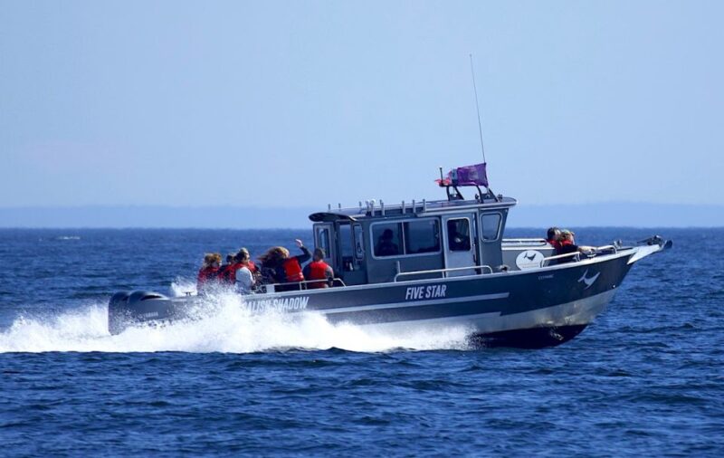 Victoria, BC: 3-Hour Ultimate Whale & Marine Wildlife Tour - Inclusions and Restrictions