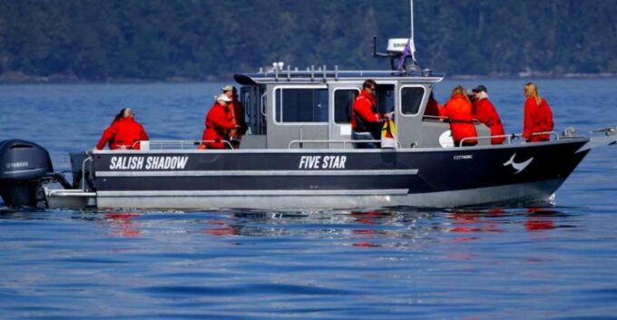 Victoria, BC: 3-Hour Ultimate Whale & Marine Wildlife Tour - Exploring the Salish Sea