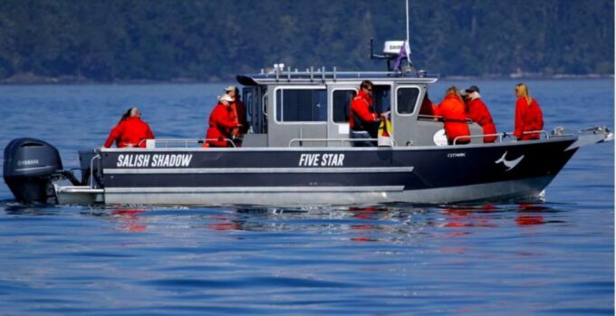 Victoria, BC: 3-Hour Ultimate Whale & Marine Wildlife Tour - Frequently Asked Questions
