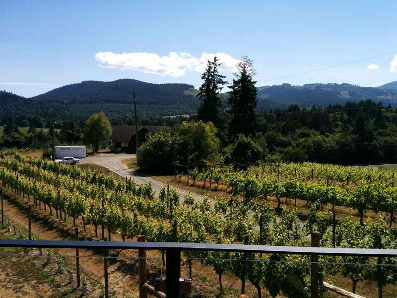 Victoria, BC: Food & Wine Tour to the Cowichan Valley - The Experience: What We Loved