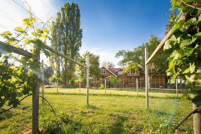 Victoria Boutique Winery Tour - Transportation and Guide