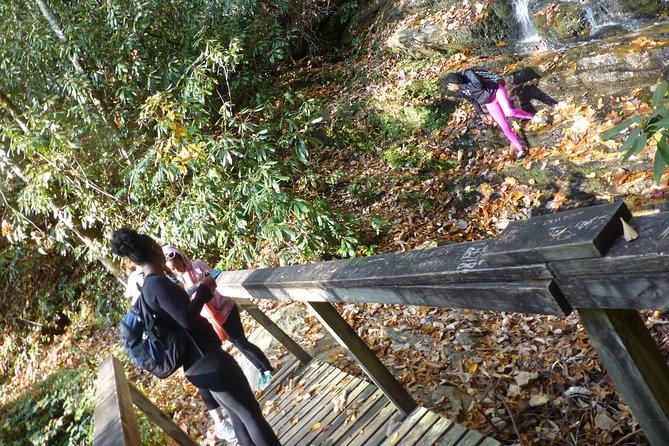 Victoria Bryant State Park Hike With Wine Tasting - Key Points