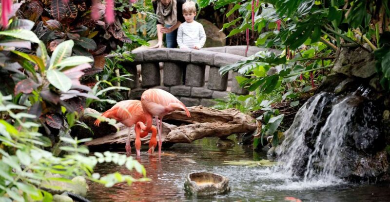 Victoria: Butterfly Gardens Admission Ticket - Key Points
