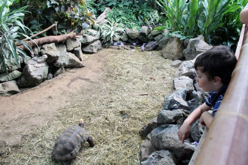 Victoria: Butterfly Gardens Admission Ticket - Reviews and Ratings