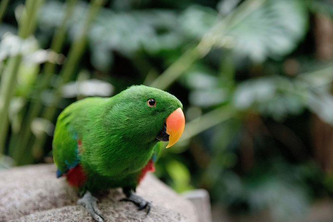 Victoria Butterfly Gardens Ticket - Booking and Confirmation Details