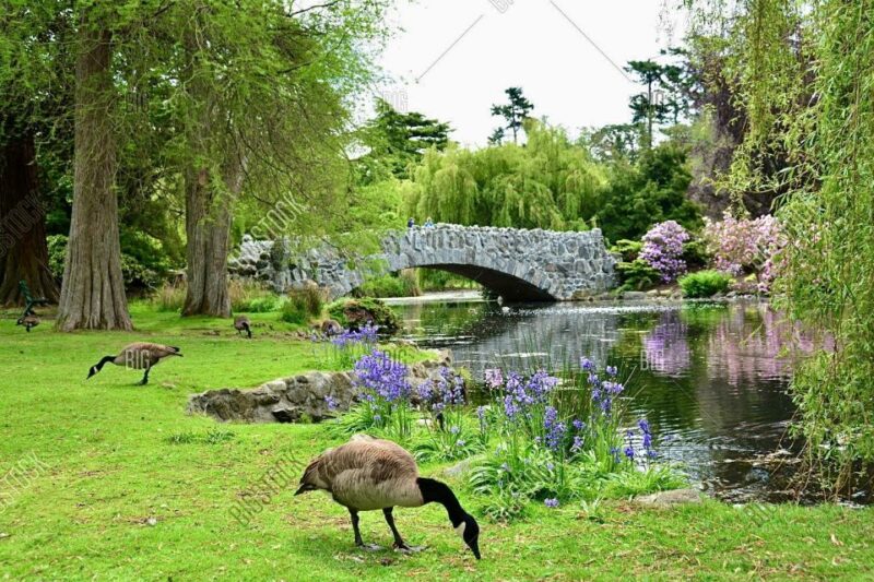 Victoria City Bike Tour: 2.5 Hr. History and Highlights Tour - Booking Information