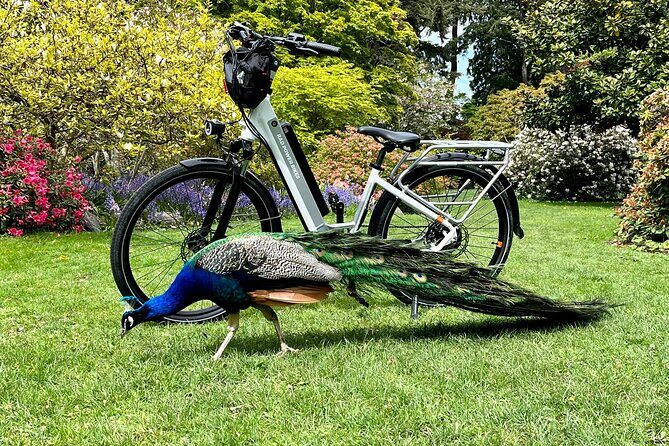 Victoria City Highlights E-Bike Tour - Castle Hoods & Legends - Frequently Asked Questions