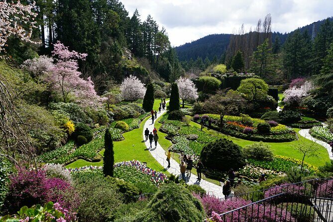 Victoria Day Trip with BC Ferries, Butchart Gardens & Downtown - Key Points