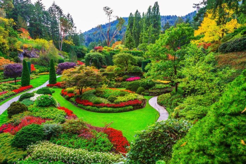 Victoria: Driving Tour W/ Malahat Skywalk & Butchart Gardens - Key Points