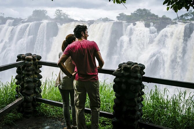 Victoria Falls Historical Bridge Tour ! - Historical Context and Construction