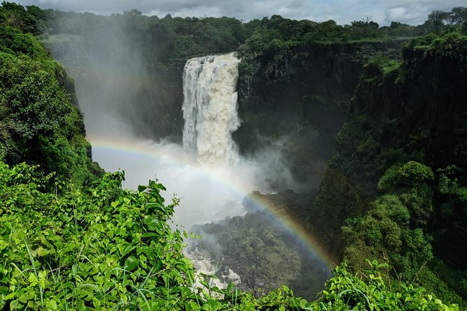 Victoria Falls Private Guided Sunrise Tour - Reviews and Ratings