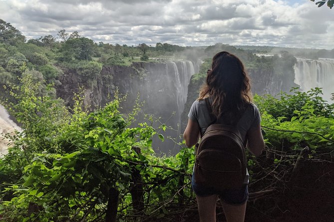 Victoria Falls: Private Guided Tour of the Falls - Convenient Logistics