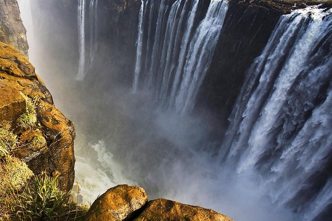 Victoria Falls Walking Tour - Flora and Fauna