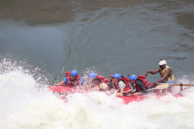 Victoria Falls: Whitewater Rafting + Chobe Safari Combo - Schedule of Activities
