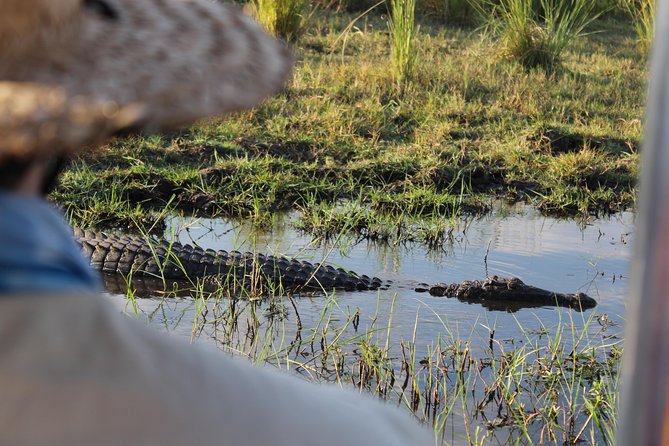 Victoria Falls: Whitewater Rafting + Chobe Safari Combo - Pricing Details