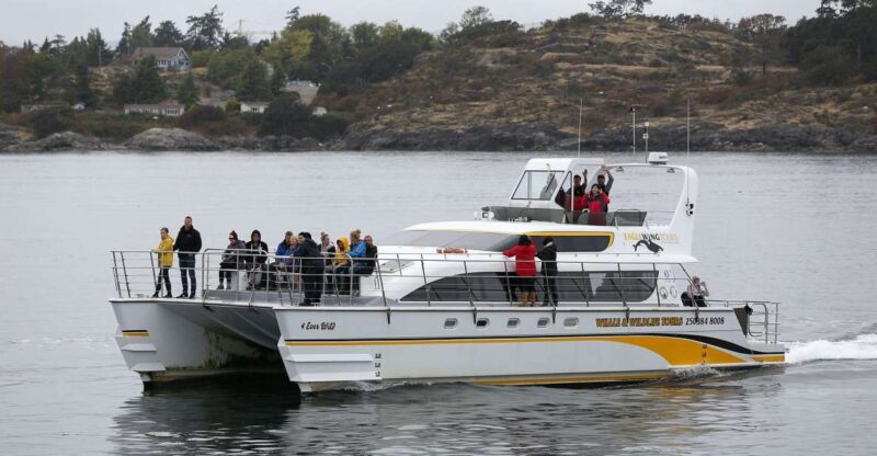 Victoria: Guided Whale and Wildlife-Watching Cruise - Cruise Details