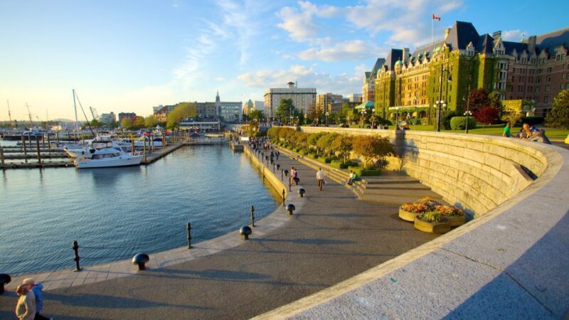 Victoria Harbor: Smartphone Audio Walking Tour - Customer Feedback
