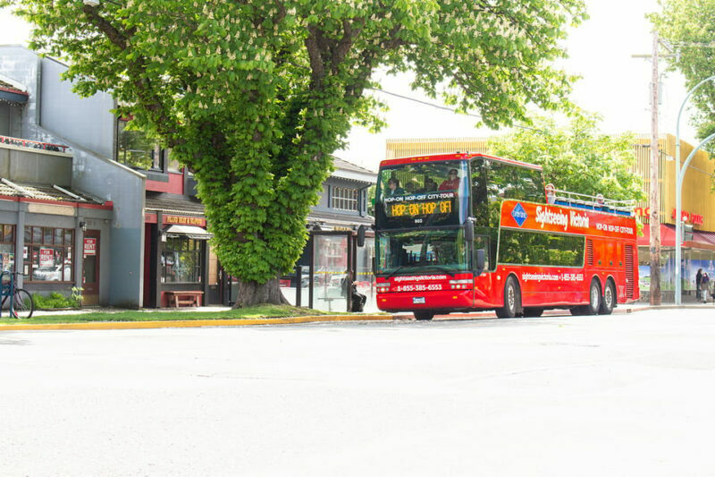 Victoria: Hop-On-Hop-Off Sightseeing Bus Tour - Who Is This Tour Best For?