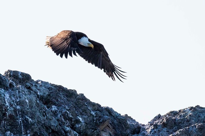 Victoria Marine Wildlife Tour - Tour Duration