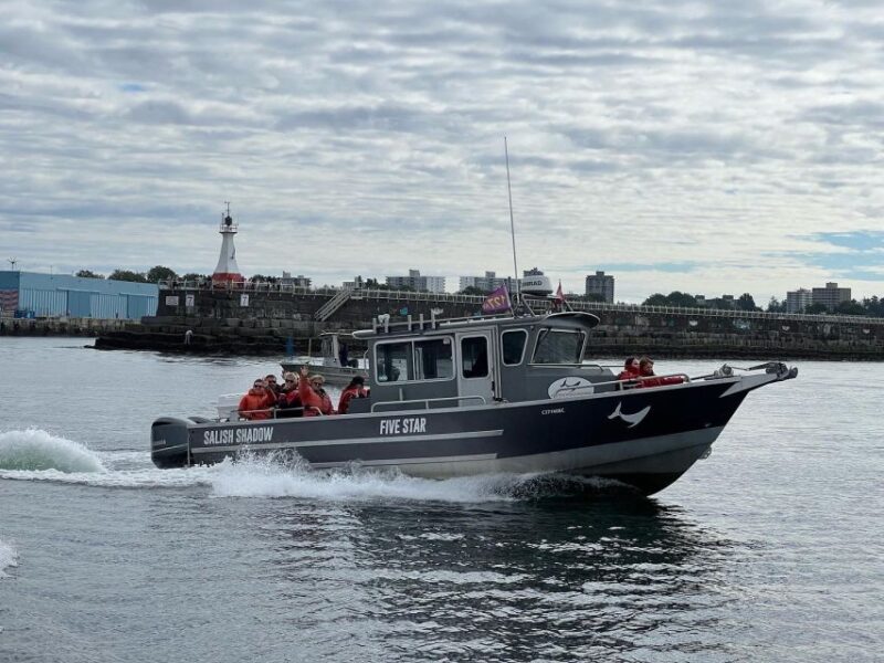 Victoria: Marine Wildlife & Whale Watch Tour - Marine Wildlife Encounters